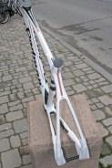 Rodman D306